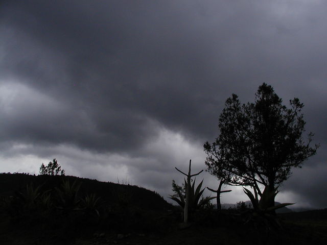 Sin Nombre